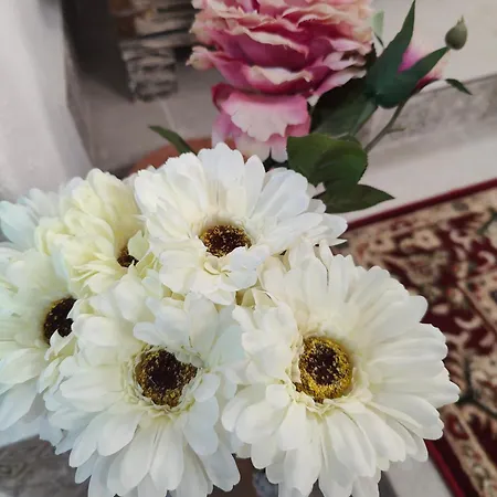 Apartamento Apartament Centru- Constanta